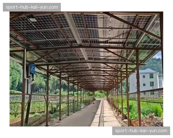 光伏顶棚储能系统接入转播负荷 赛事碳中和目标本季度获支撑